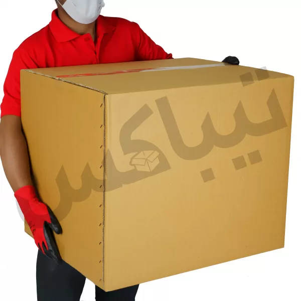 کارتن